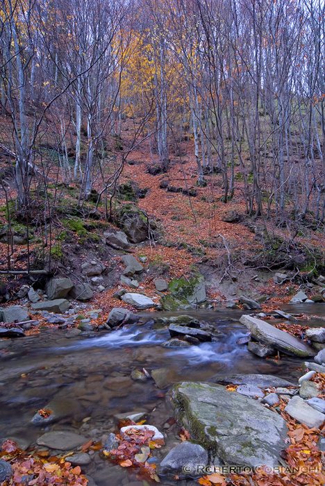 Valle dell''Acqua Cheta